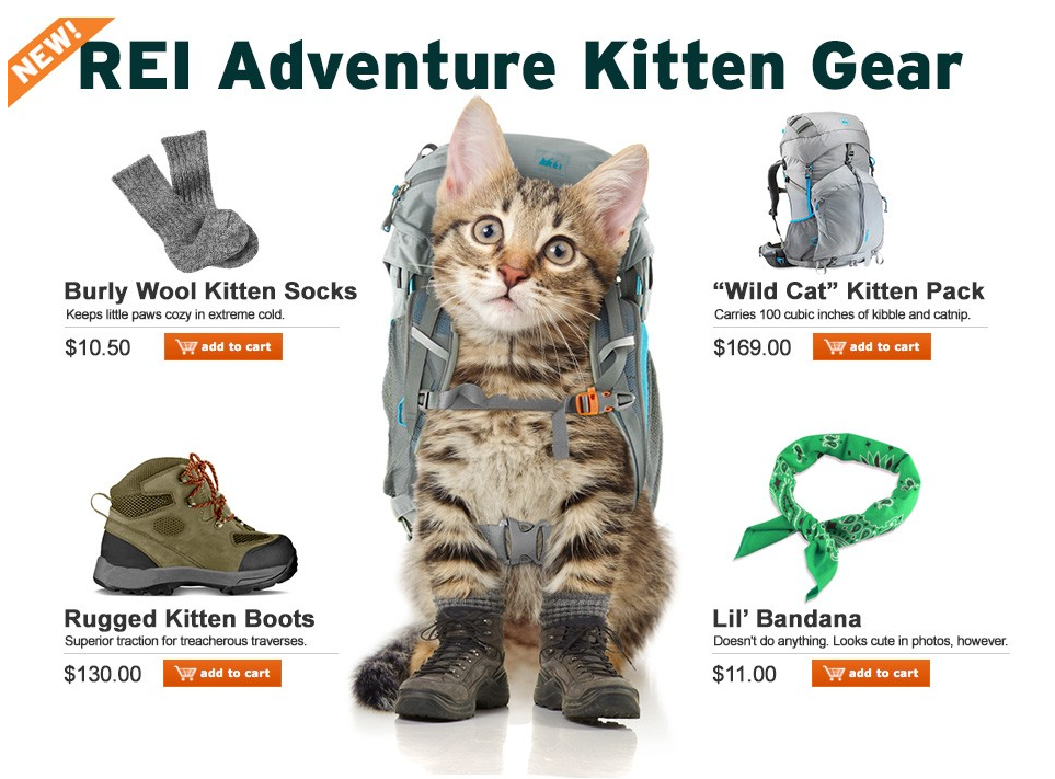 REI Adventure Kitten Gear